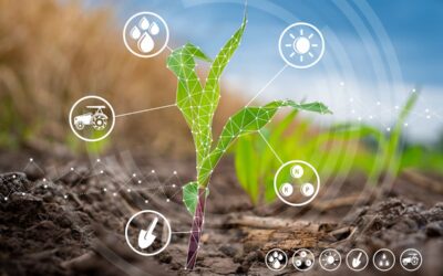 O poder da mentoria no agro: por que crescer com dificuldades se você pode ir mais longe e com apoio?